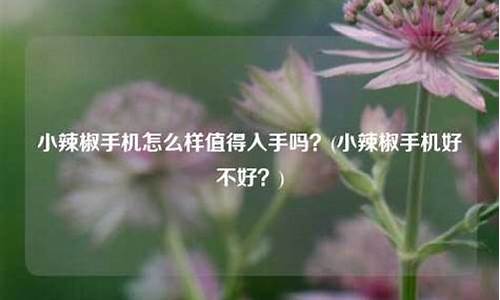 小辣椒手机好用吗_小辣椒手机好用吗,性能好吗